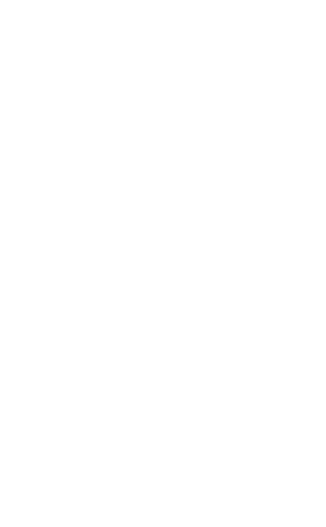 Illustration: three school shoes, from first shoes to senior